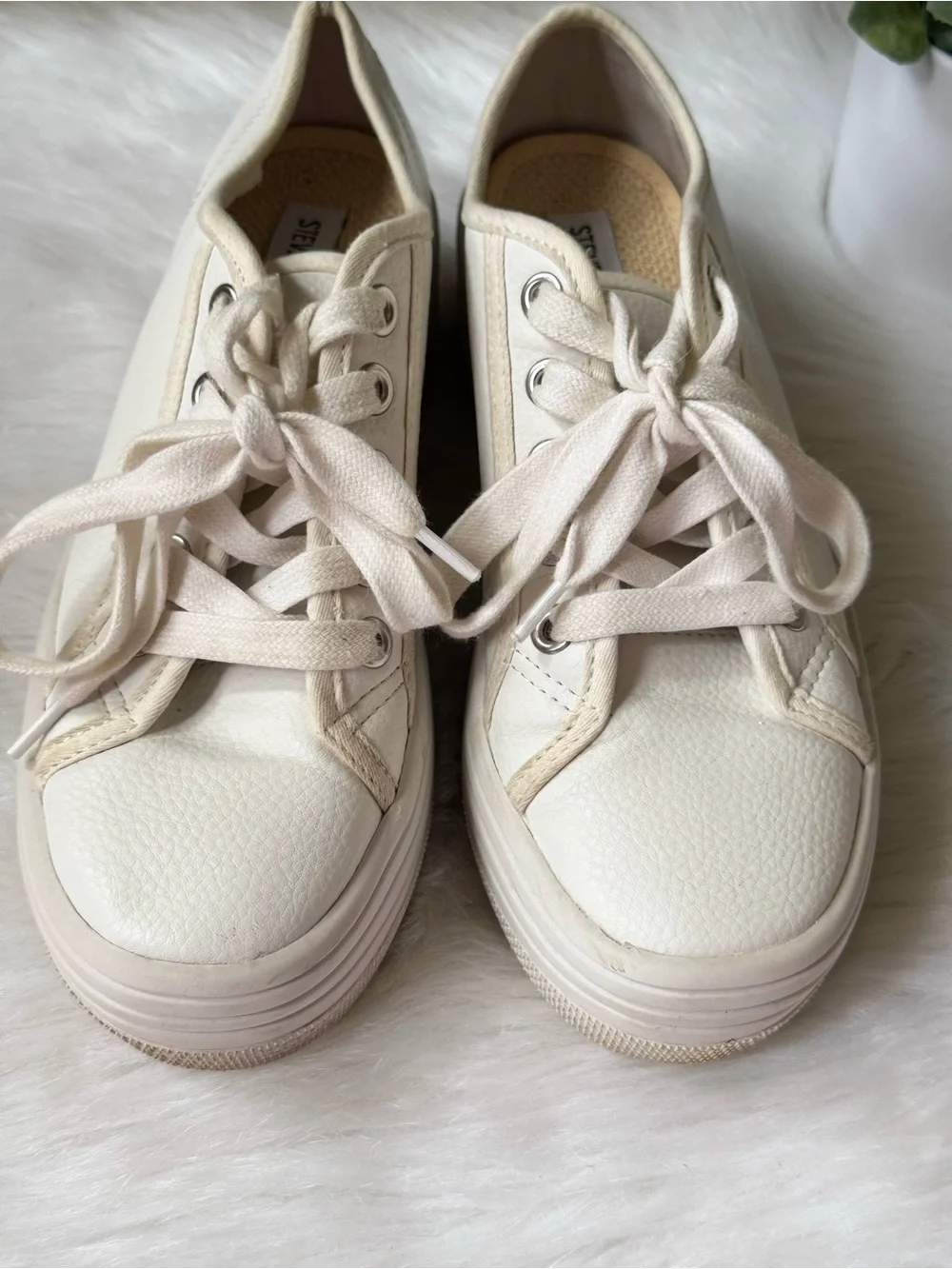 Steve Madden bobbi white